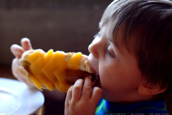 Brève - « Les enfants mangent ce qu’ils aiment » : vraiment ?
